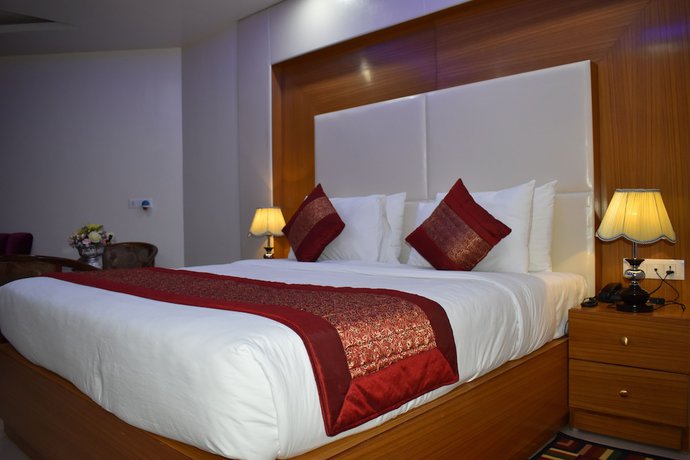 Imagen de la habitación del Hotel Anand International. Foto 17