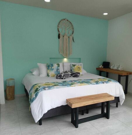 Imagen general del Hotel Ananda Boutique La Vega. Foto 12