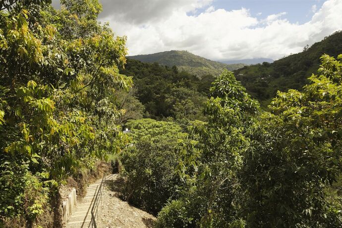 Imagen general del Hotel Ananda Boutique La Vega. Foto 16