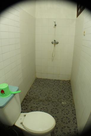 Imagen de la habitación del Hotel Ananda. Foto 11