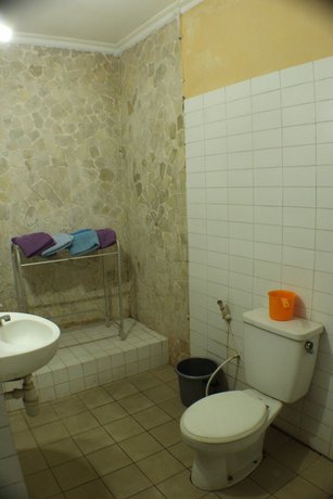 Imagen de la habitación del Hotel Ananda. Foto 12