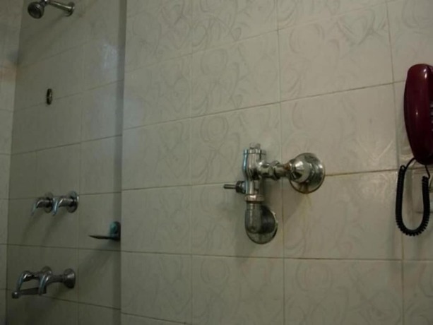 Imagen general del Hotel Ananda Krishna Van. Foto 6