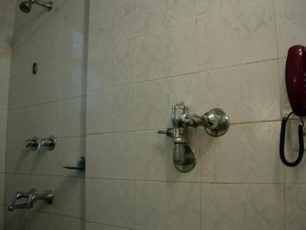 Imagen de la habitación del Hotel Ananda Krishna Van. Foto 27