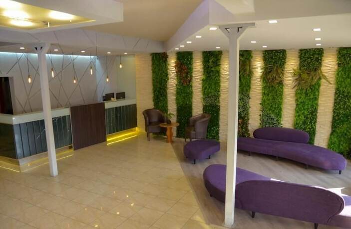 Imagen general del Hotel Ananque. Foto 2