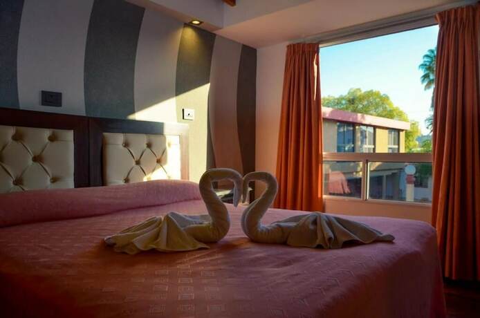 Imagen general del Hotel Ananque. Foto 4
