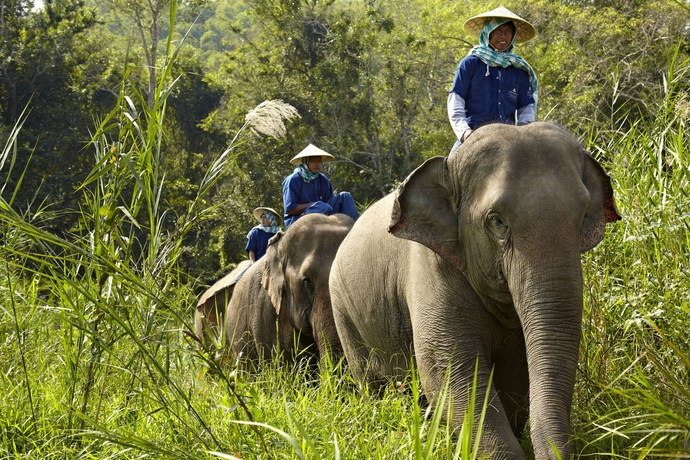 Imagen de los exteriores del Hotel Anantara Golden Triangle Elephant Camp and Resort. Foto 9