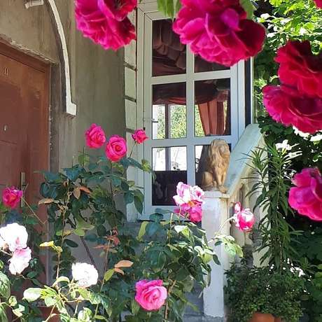 Imagen general del Hotel Anastasia, Tuaps&eacute;. Foto 2