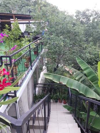 Imagen de los exteriores del Hotel Anastasia, Tuaps&eacute;. Foto 14