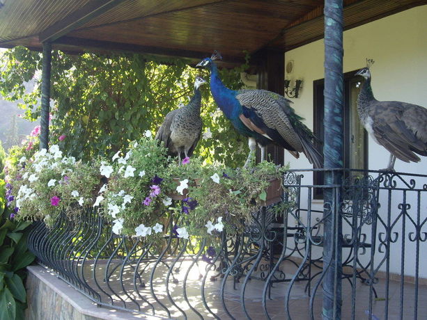 Imagen de los exteriores del Hotel Anatolia Resort. Foto 4