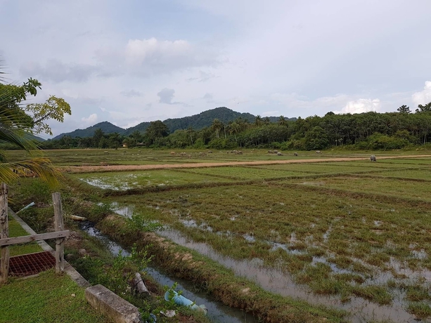 Imagen de los exteriores del Hotel Anattaya Holiday Home. Foto 17
