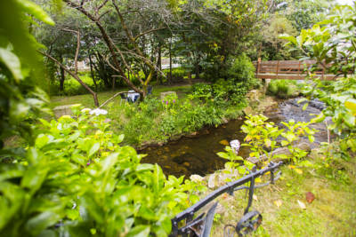 Imagen de los exteriores del Hotel Anatur. Foto 6