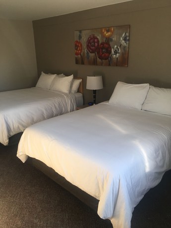 Imagen general del Hotel Anavada Inn And Suites - Prince George. Foto 1