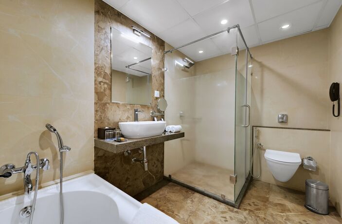 Imagen de la habitación del Hotel Anaya Beacon , Jamnagar. Foto 21