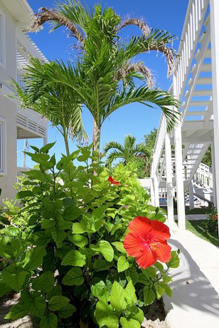 Imagen de los exteriores del Hotel Anchor Point Apartments. Foto 13