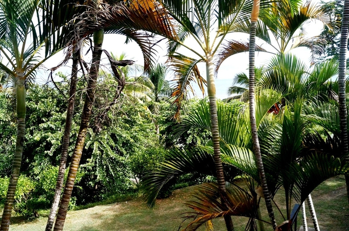 Imagen de los exteriores del Hotel Anchorage Beach Resort. Foto 7