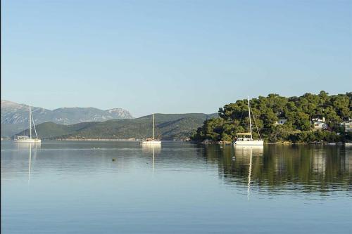 Imagen general del Hotel Ancora, Poros. Foto 1