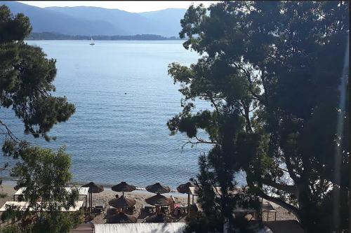 Imagen general del Hotel Ancora, Poros. Foto 4