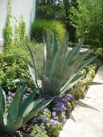 Imagen general del Hotel Anda Villa Club Jardin. Foto 13