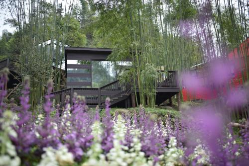 Imagen general del Hotel Andaman Vacation Dujiangyan. Foto 1