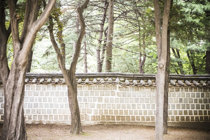 Imagen de la habitación del Hotel Andaz Seoul Gangnam. Foto 3