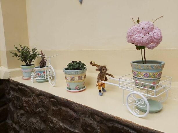 Imagen general del Hotel Andean Home. Foto 6