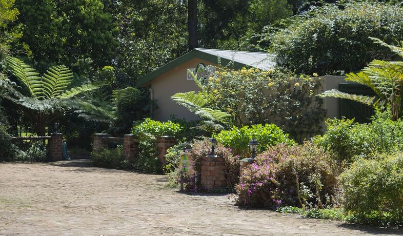 Imagen general del Hotel Andelomi Forest Lodge. Foto 11
