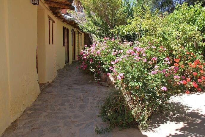 Imagen general del Hotel Andino Hostel. Foto 19
