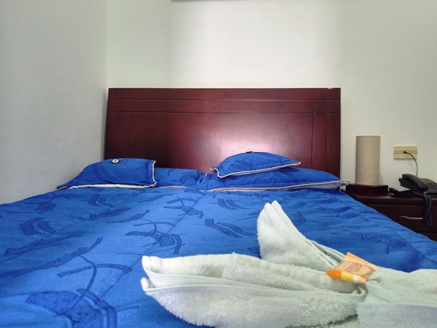 Imagen de la habitación del Hotel Andino Real. Foto 11