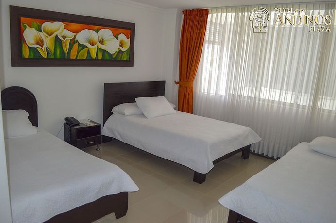 Imagen de la habitación del Hotel Andinos Plaza. Foto 9