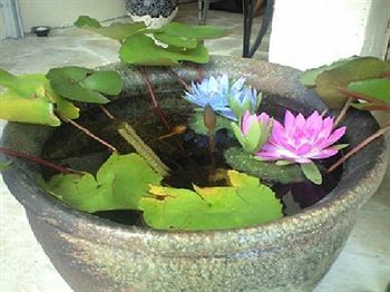 Imagen de los interiores del Hotel Andon Matsuokan. Foto 9