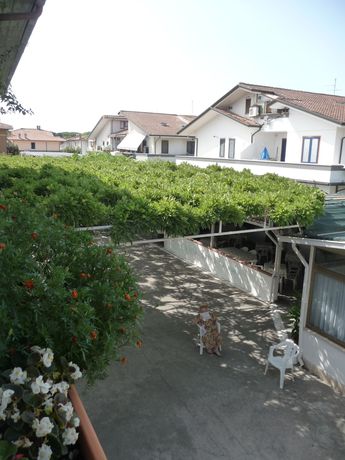 Imagen general del Hotel Andrea Doria. Foto 3