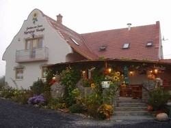 Imagen general del Hotel Andrea Wellness Panzió. Foto 14