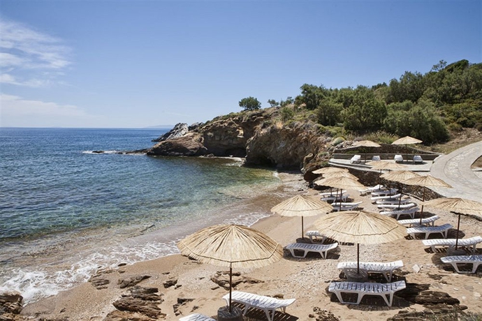 Imagen de los exteriores del Hotel Andros Holiday. Foto 10