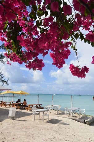 Imagen del bar/restaurante del Hotel Anegada Reef. Foto 4