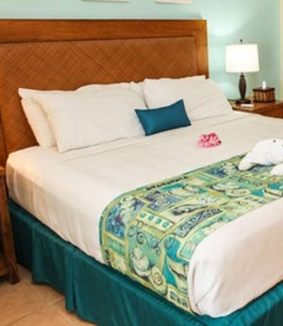 Imagen de la habitación del Hotel Anegada Reef. Foto 18