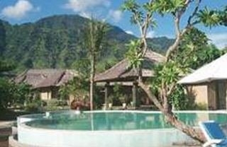 Imagen de la piscina del Hotel Aneka Bagus Pemuteran. Foto 5