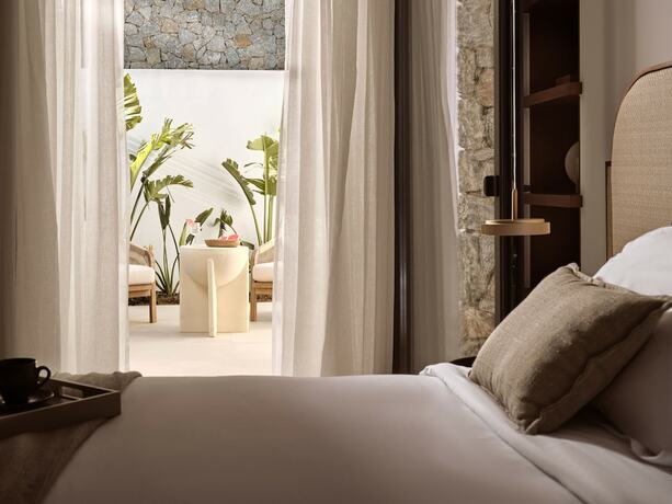 Imagen general del Hotel Anemelia Mykonos. Foto 10