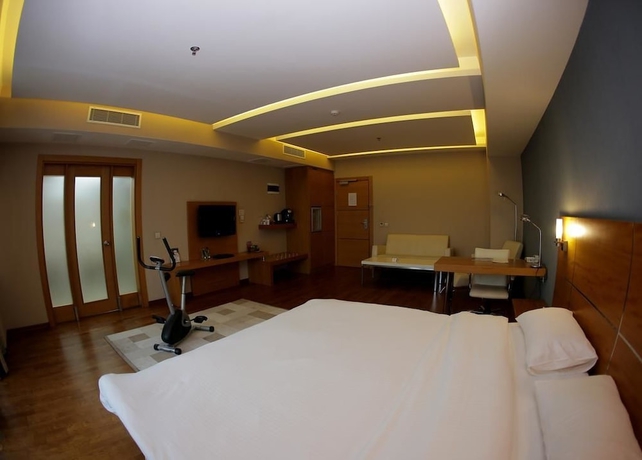 Imagen de la habitación del Hotel Anemon Cigli. Foto 5