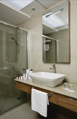 Imagen de la habitación del Hotel Anemon Cigli. Foto 15