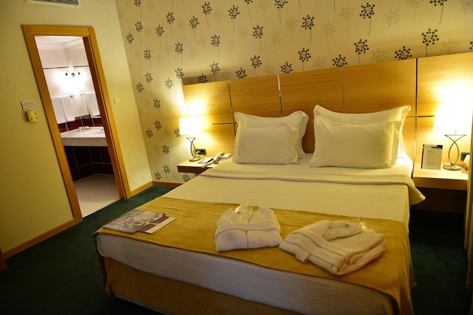 Imagen de la habitación del Hotel Anemon Grand Manisa. Foto 12