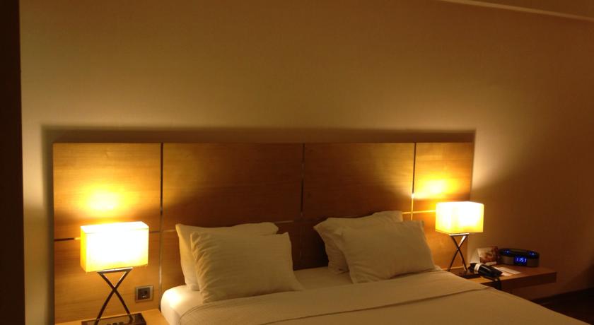 Imagen general del Hotel Anemon Konya. Foto 3