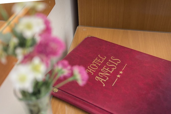 Imagen de la habitación del Hotel Anesis, Koz&aacute;ni. Foto 4