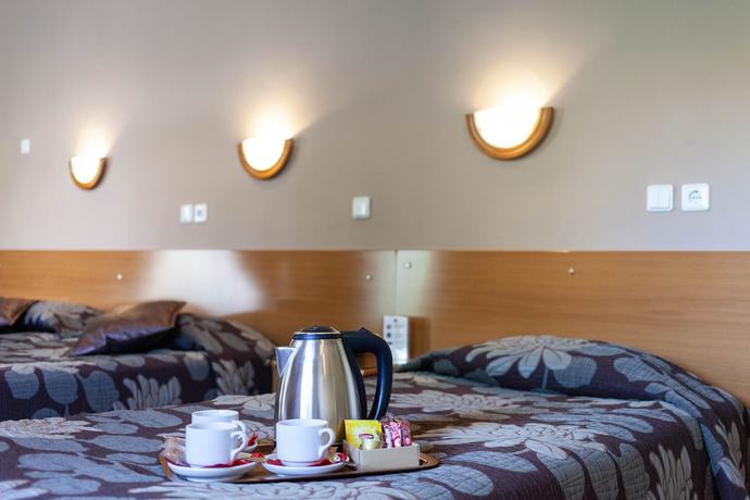 Imagen de la habitación del Hotel Anesis, Koz&aacute;ni. Foto 14