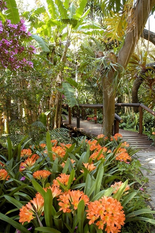 Imagen de los exteriores del Hotel Anew Resort Hazyview Kruger Park. Foto 6