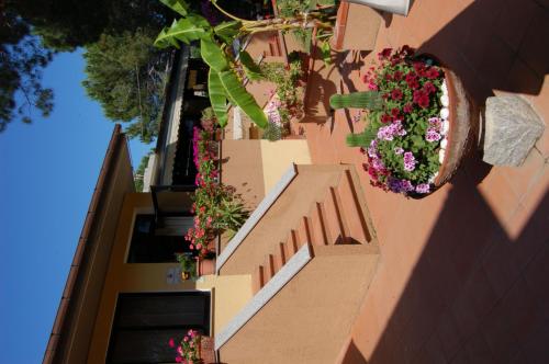 Imagen general del Hotel Anfora, Capoliveri. Foto 3