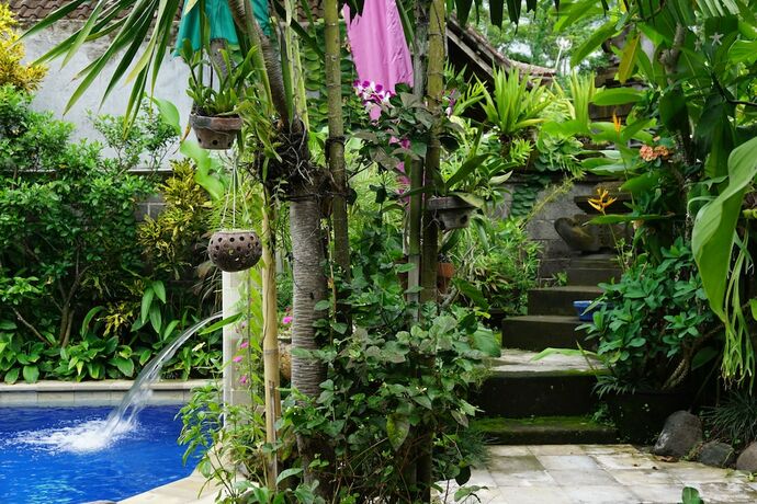 Imagen de la habitación del Hotel Angel House Ubud. Foto 14