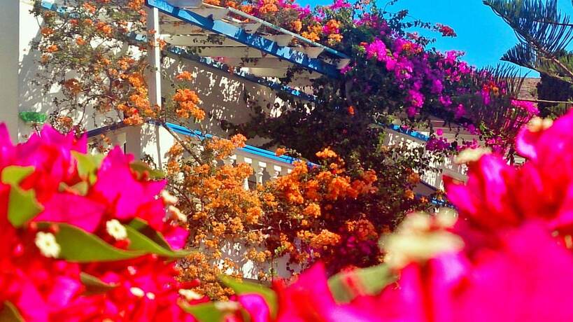 Imagen general del Hotel Angelika, Leros. Foto 3