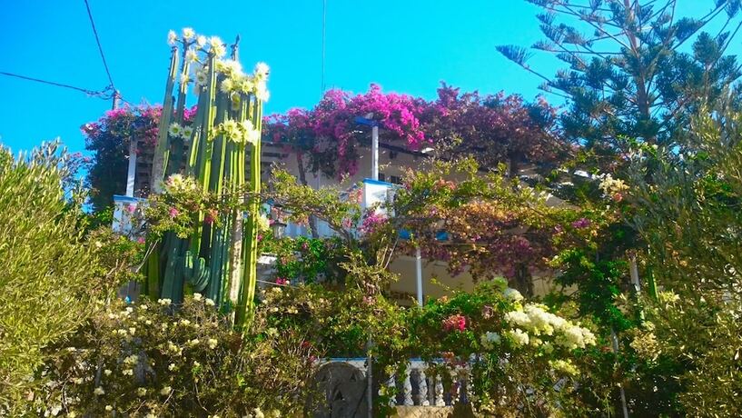 Imagen general del Hotel Angelika, Leros. Foto 10