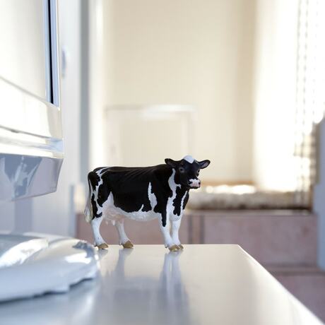 Imagen general del Hotel Angelina Aegina Boutique Escape. Foto 4