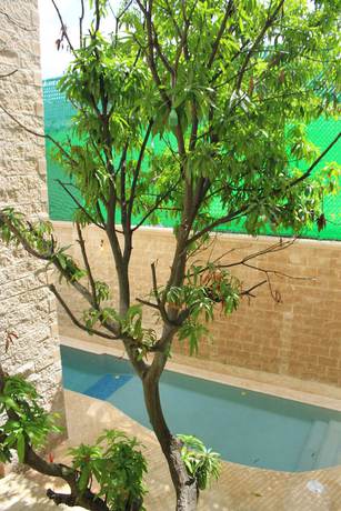 Imagen de la habitación del Hotel Angelo\'s. Foto 18
